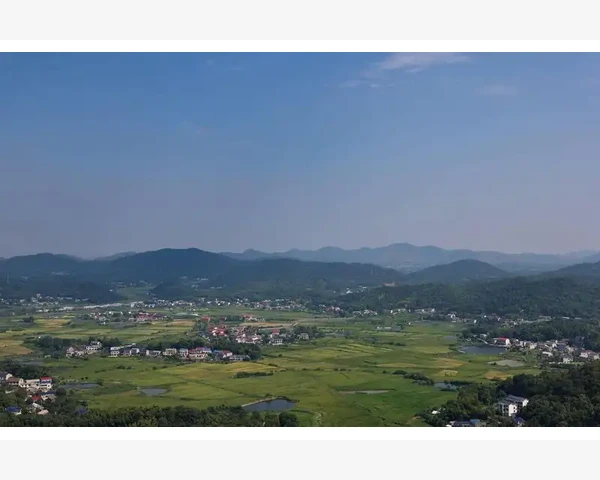 中医科普：什么食物能够止咳化痰？